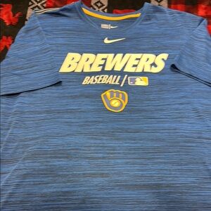 Nike Blue Short Sleeve Tee Performance Shirt